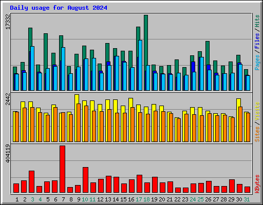 Daily usage for August 2024