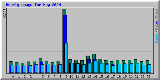 Hourly usage for May 2024