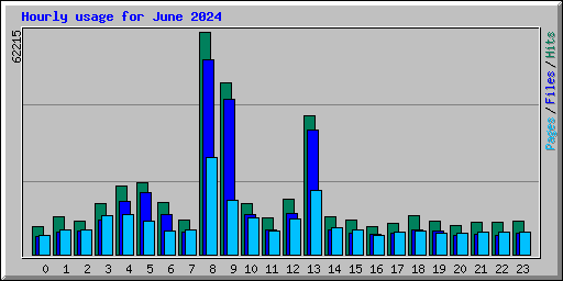 Hourly usage for June 2024