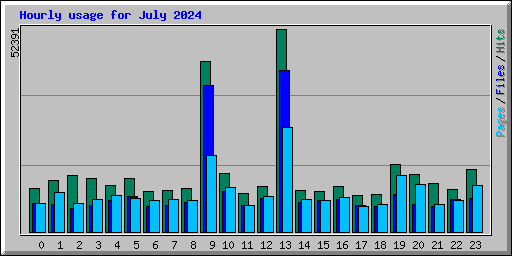 Hourly usage for July 2024