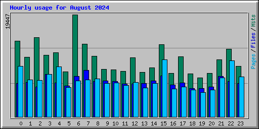 Hourly usage for August 2024