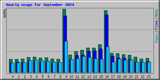 Hourly usage for September 2024