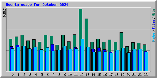 Hourly usage for October 2024