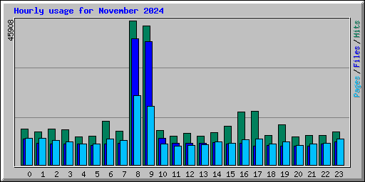 Hourly usage for November 2024