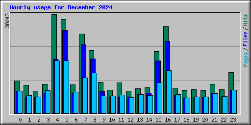 Hourly usage for December 2024