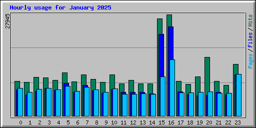 Hourly usage for January 2025