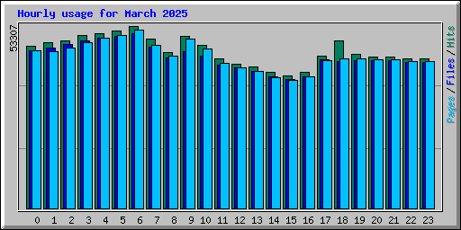 Hourly usage for March 2025