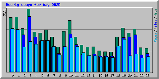 Hourly usage for May 2025