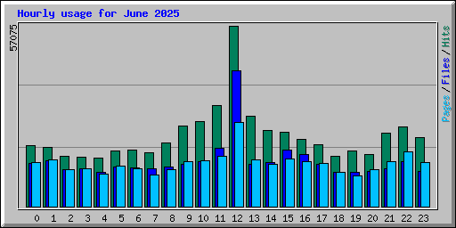 Hourly usage for June 2025