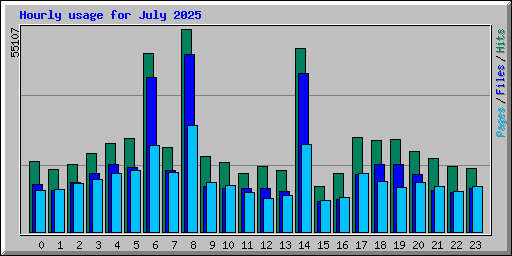 Hourly usage for July 2025