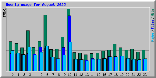 Hourly usage for August 2025