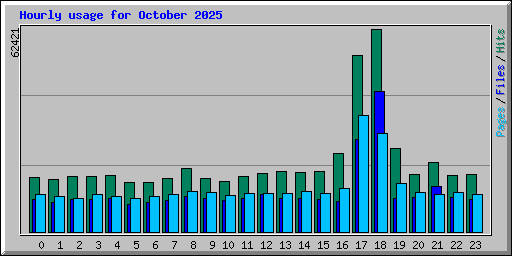 Hourly usage for October 2025