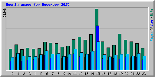 Hourly usage for December 2025
