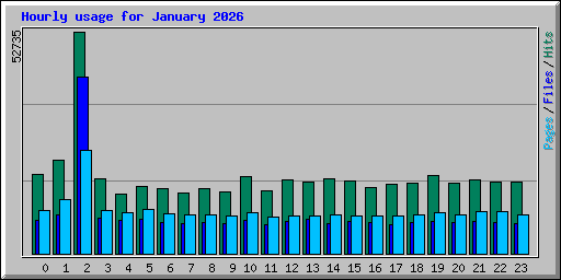 Hourly usage for January 2026