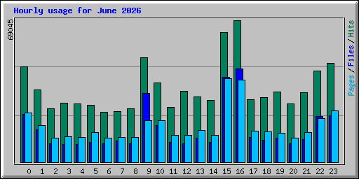 Hourly usage for June 2026