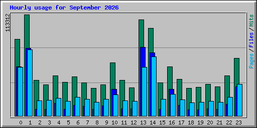 Hourly usage for September 2026